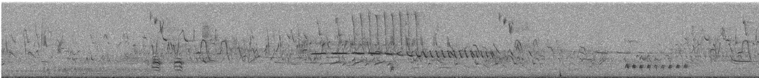 Ictérie polyglotte - ML618762295