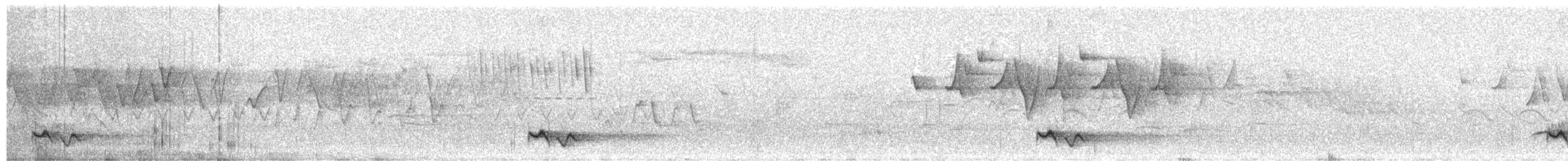 Black-streaked Scimitar-Babbler - ML618762690