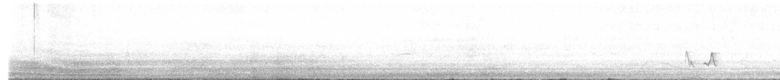 Black-whiskered Vireo - ML618763043