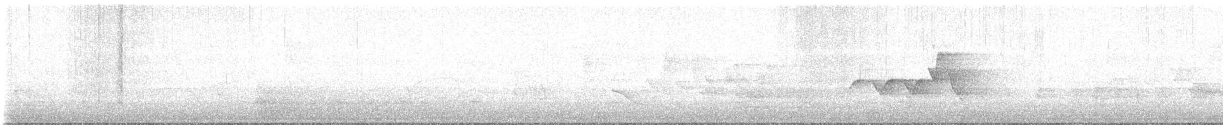 סבכון שחור-ראש - ML618763494