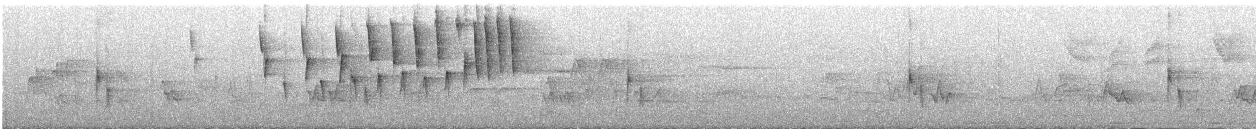Tennessee Warbler - ML618763737
