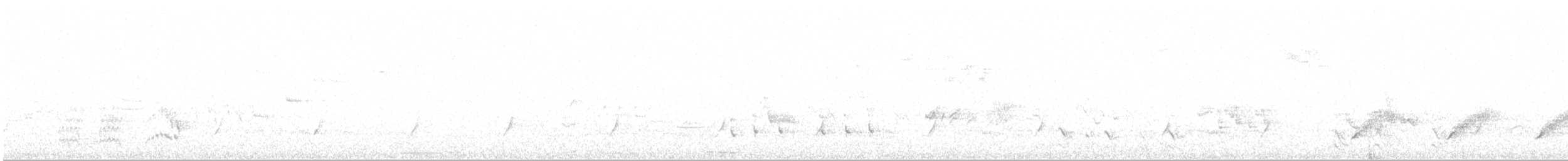 斑胸秧雞 - ML618764803