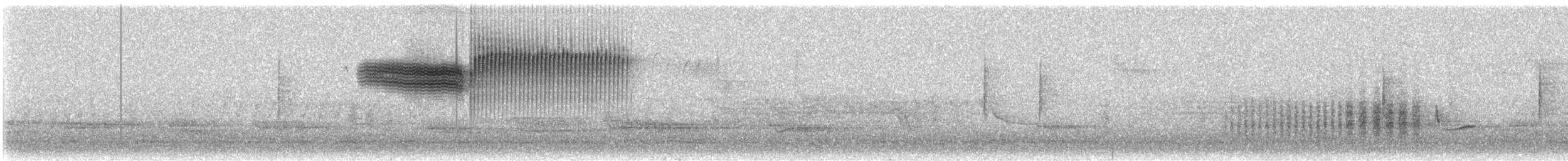 "Желтокрылая x Голубокрылая червеедка (гибрид, Lawrence's)" - ML618765034