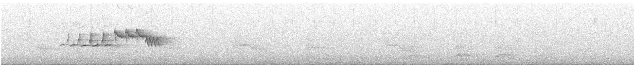 キヅタアメリカムシクイ（coronata） - ML618765371
