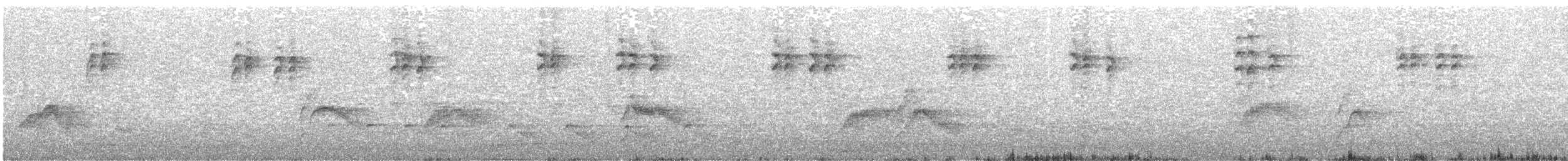 Gri Yanaklı Bülbül Ardıcı - ML618772147