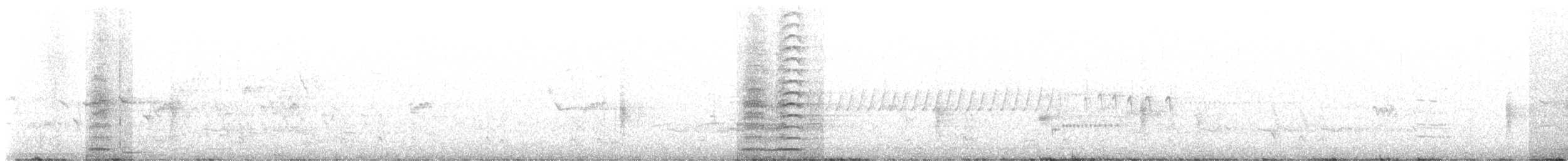 Common Gallinule - ML618773769