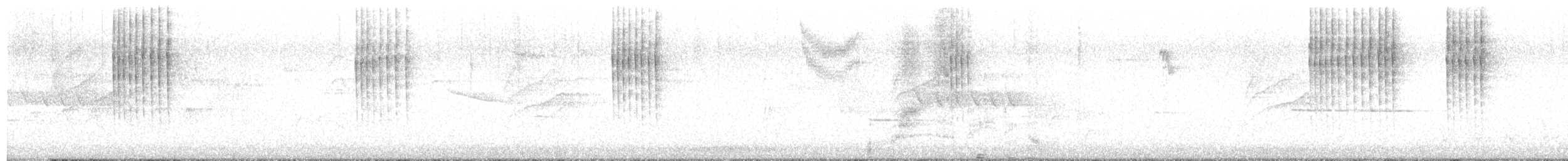 Pasifik Çıtkuşu - ML618777897