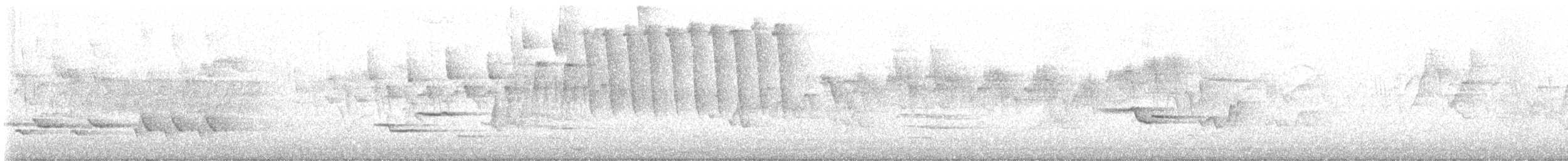 Tennessee Warbler - ML618778541