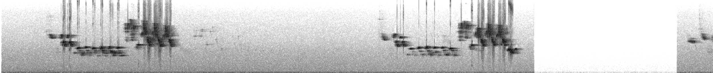 Northern House Wren - ML618782641