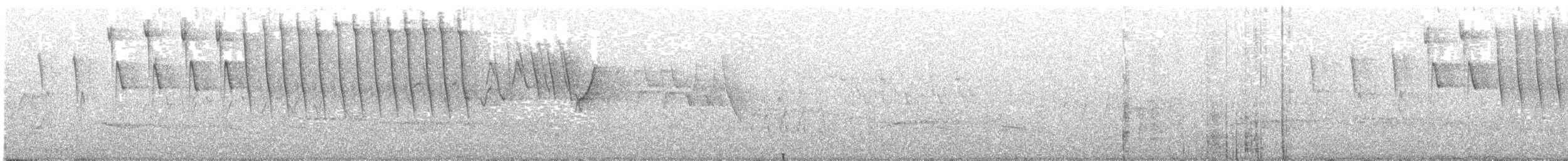 Tennessee Warbler - ML618782898