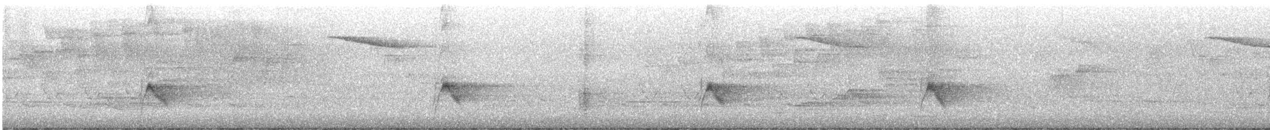 Gri Yanaklı Bülbül Ardıcı - ML618784876