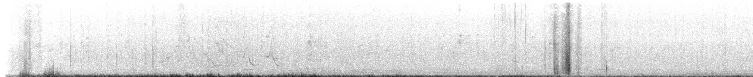 Bristle-thighed Curlew - ML618788989