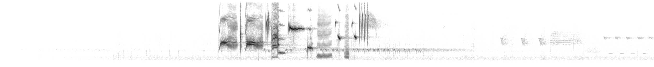 Singammer [heermanni-Gruppe] - ML618795695