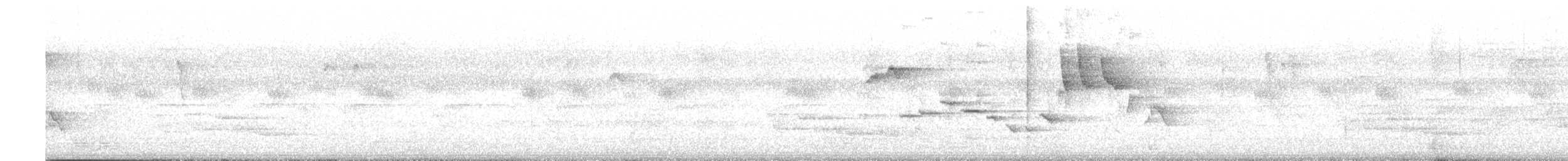 Papamoscas de Tickell - ML618795914