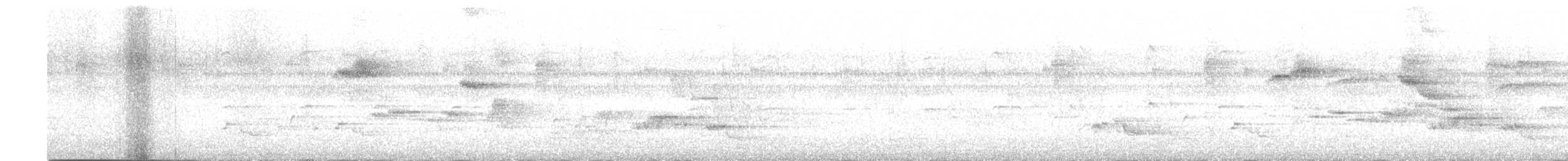 Papamoscas de Tickell - ML618795915