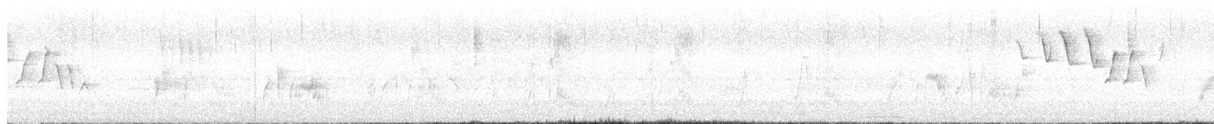 tyranovec vrbový - ML618798341