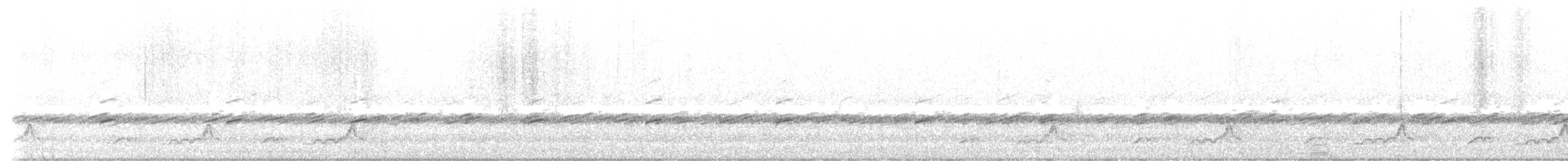 Eastern Whip-poor-will - ML618799024
