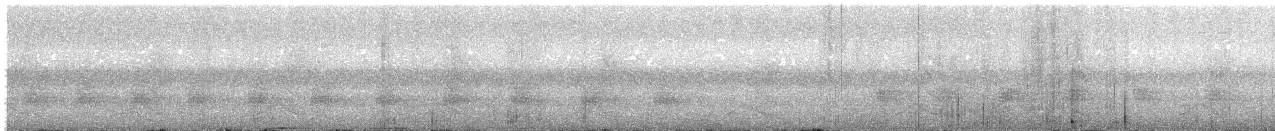 holub světlebřichý - ML618806452