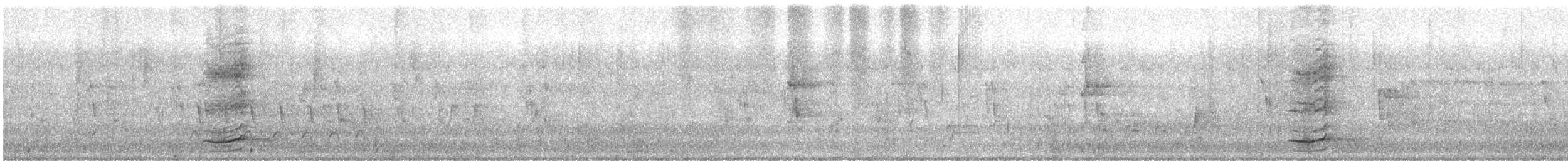 Polochion casqué (gordoni/ammitophilus) - ML618807831