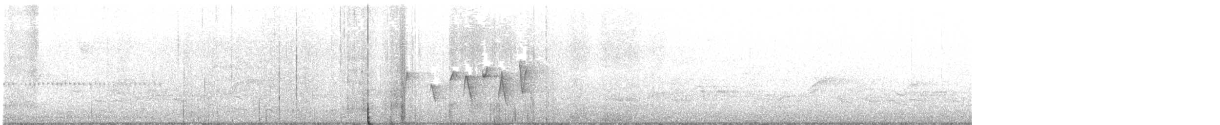 Paruline à gorge grise - ML618808735