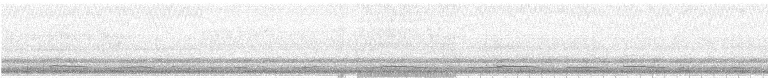 Black Scoter - ML618809958