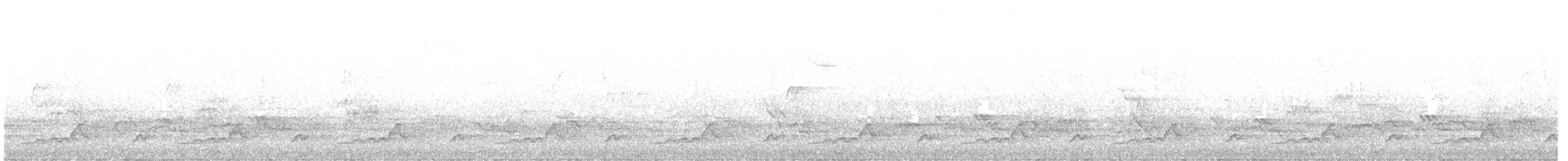 Schwarzkehl-Nachtschwalbe - ML618810389