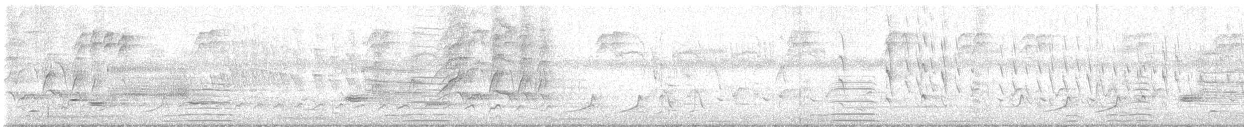 Красноклювая древесная утка (fulgens) - ML618811189