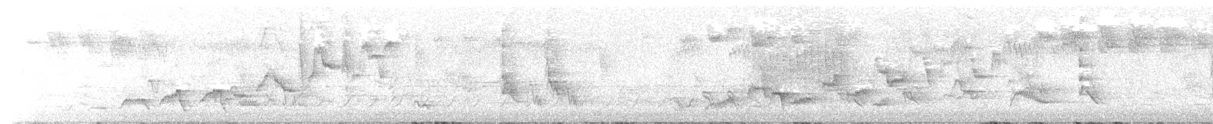 Дрізд-короткодзьоб Cвенсона - ML618815142