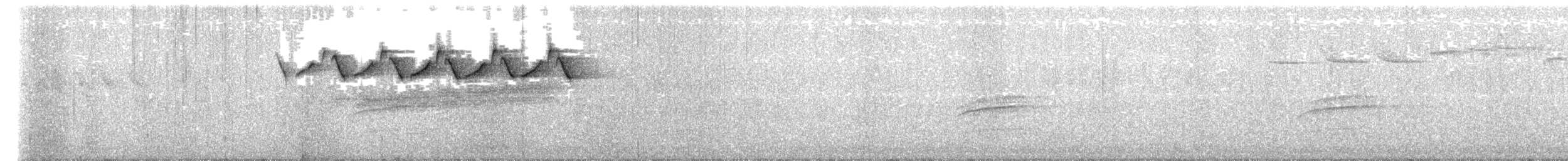 lesňáček černobílý - ML618815672