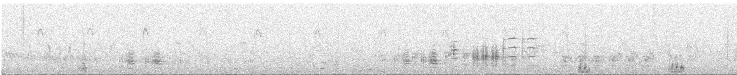 Great Reed Warbler - ML618815769