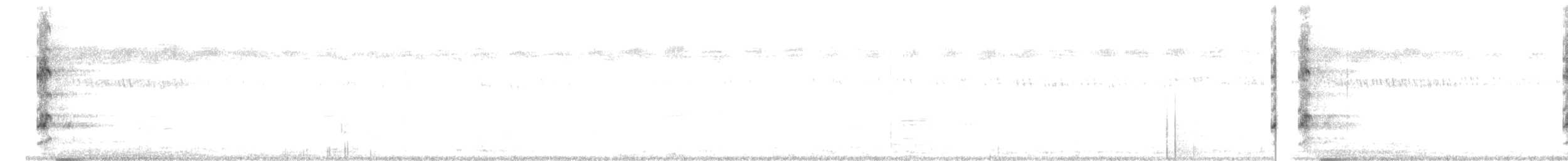 čejka černoprsá - ML618816362