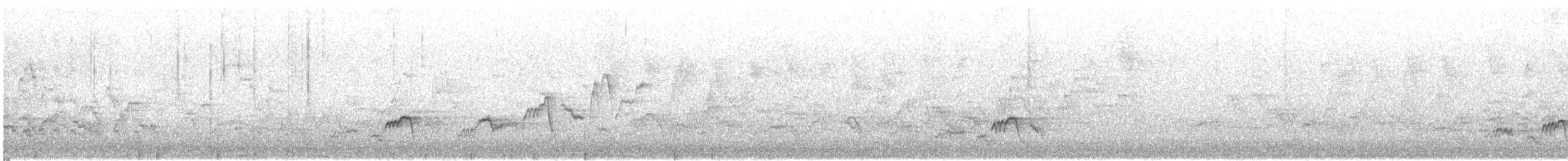 brunkinnskogtrost (swainsoni gr.) - ML618817038