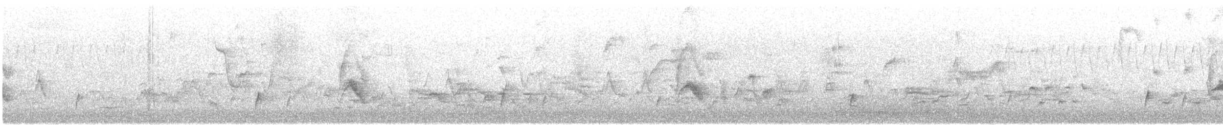 Дрізд-короткодзьоб канадський - ML618817044