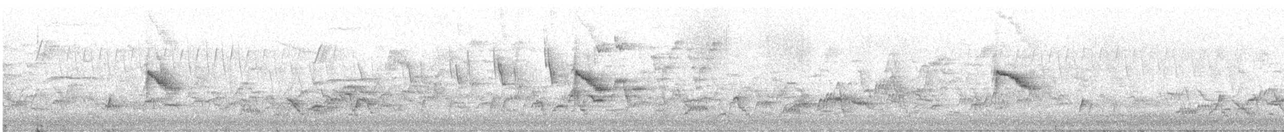 Дрізд-короткодзьоб канадський - ML618817046