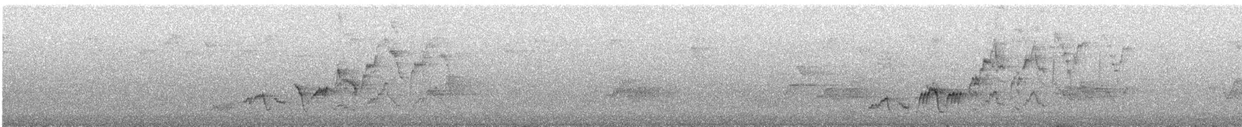 brunkinnskogtrost (swainsoni gr.) - ML618818061