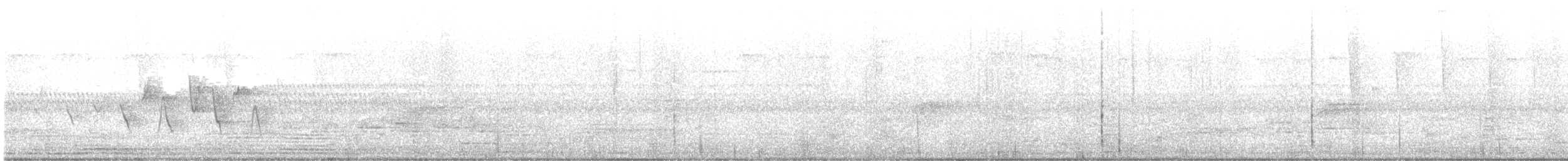 Paruline à gorge grise - ML618818961