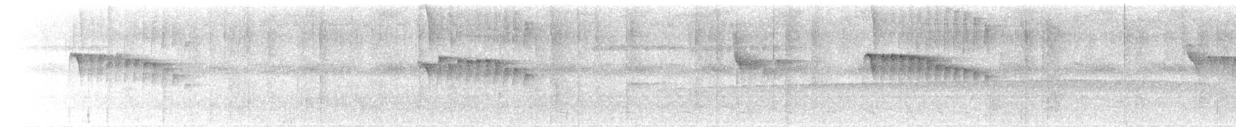 Ornate Stipplethroat - ML618819773