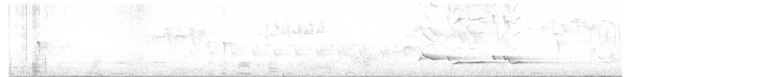 trupiál baltimorský - ML618819894