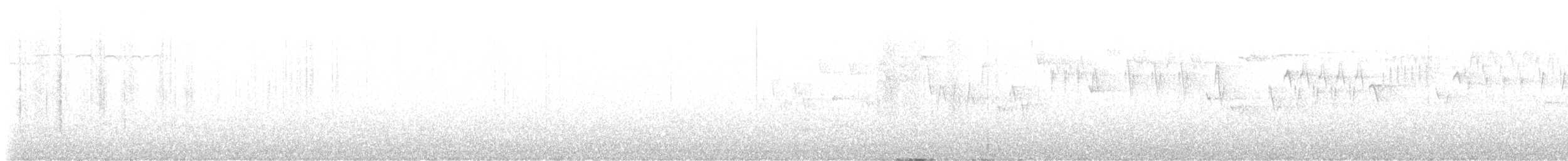 Troglodyte de Baird - ML618821195
