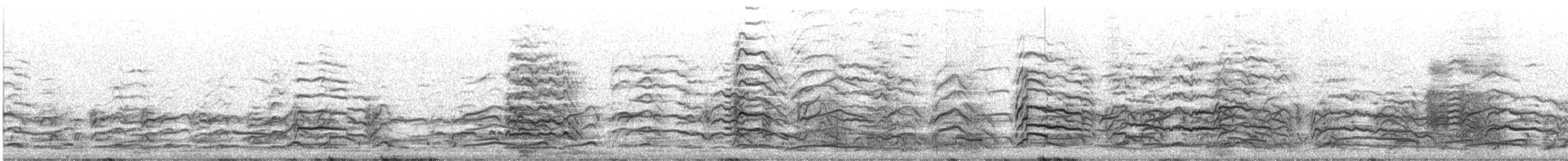 Präriemöwe - ML618822190