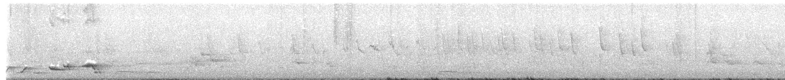 White-rumped Shama - ML618822393