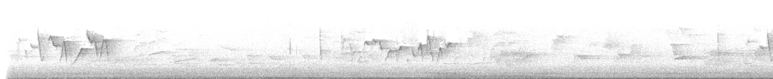 Paruline du Canada - ML618823356