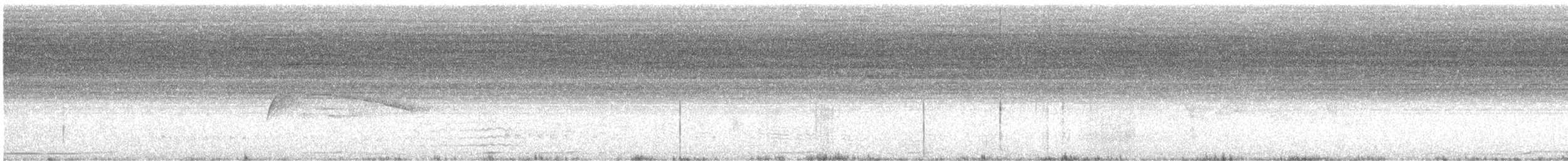 Moucherolle tête-fou - ML618824390