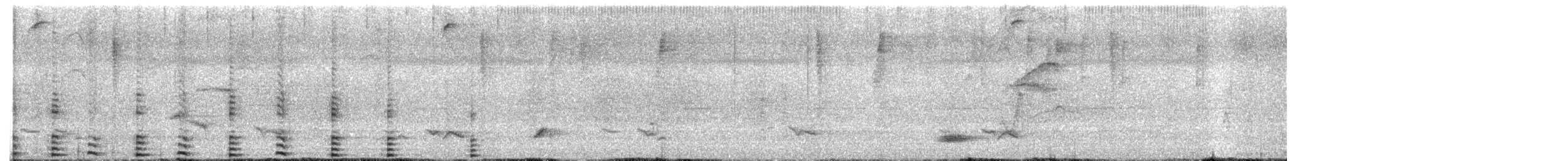 Purple Gallinule - ML618824407