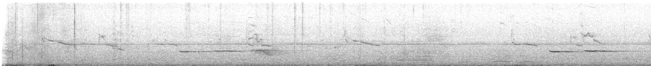 Striped Cuckoo - ML618824769