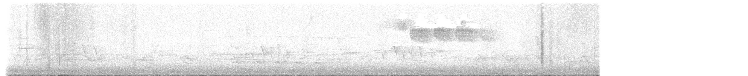 Golden-winged Warbler - ML618830144