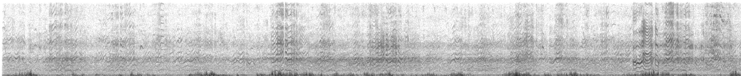 Sooty Tern - ML618830663