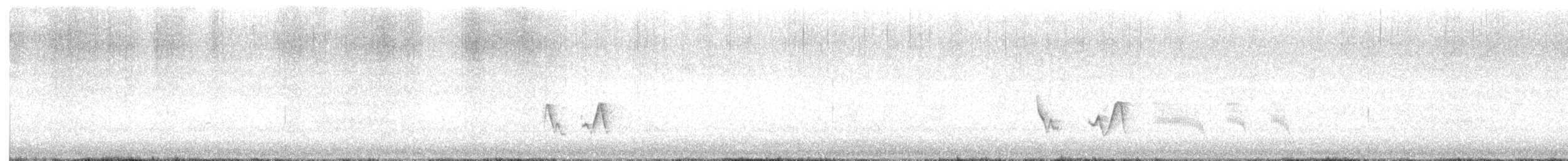 Black-whiskered Vireo - ML618831252