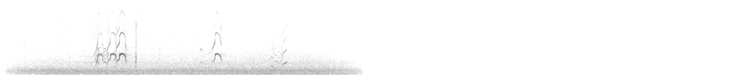 Новозеландский кулик-сорока - ML618833684