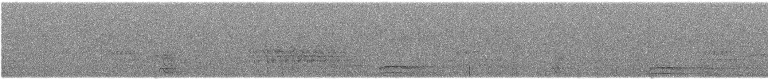 Elf Owl - ML618834070